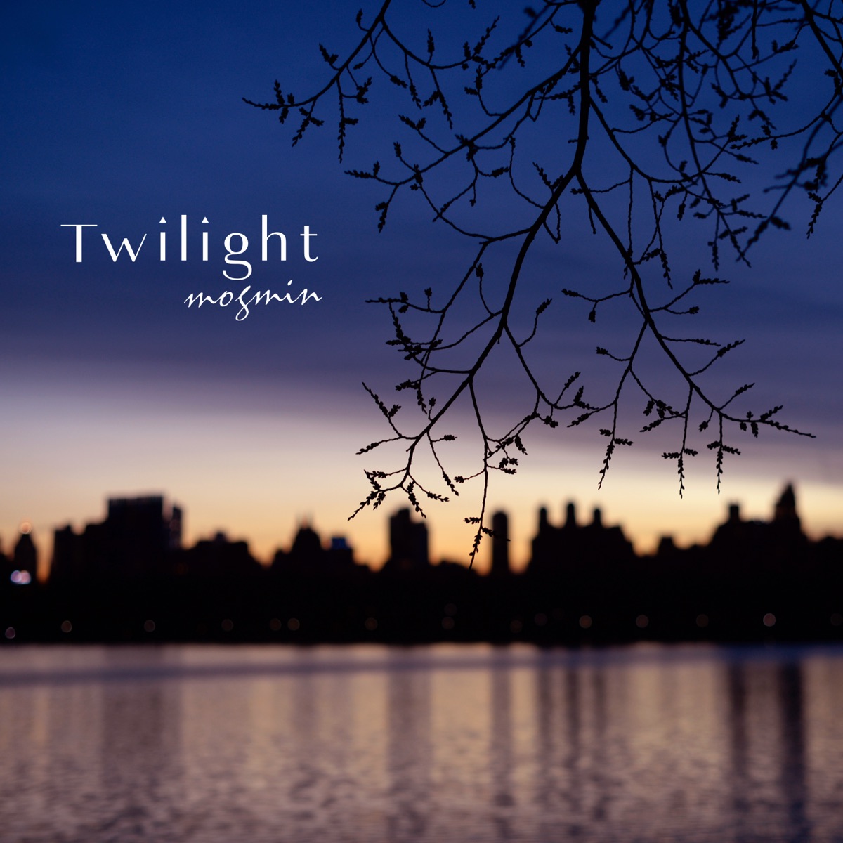 シングル『Twilight』ジャケット